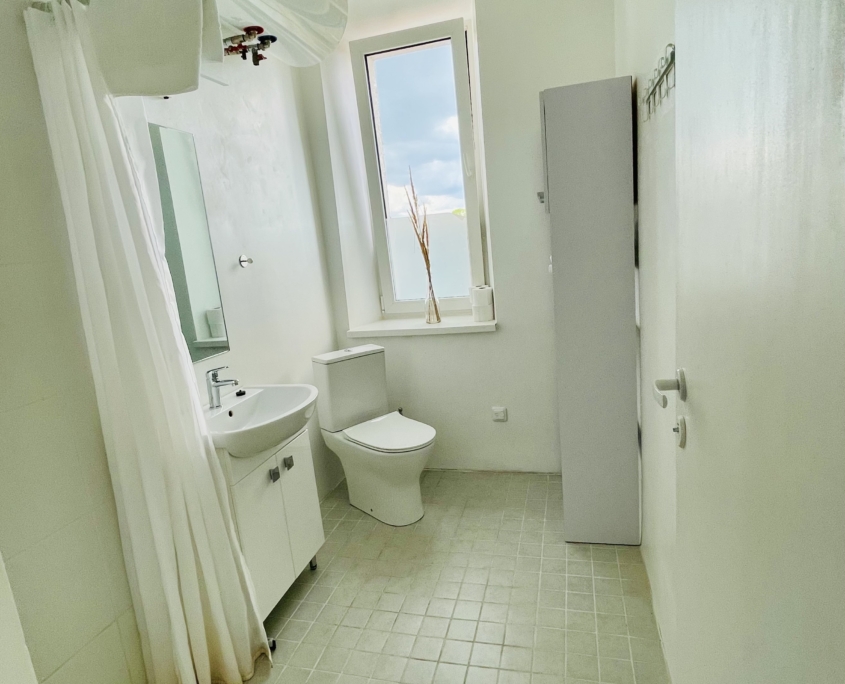 Valge maja 2 korruse apartement (1 lai voodi, 1 kitsas voodi, lahtikäiv diivan) tualett